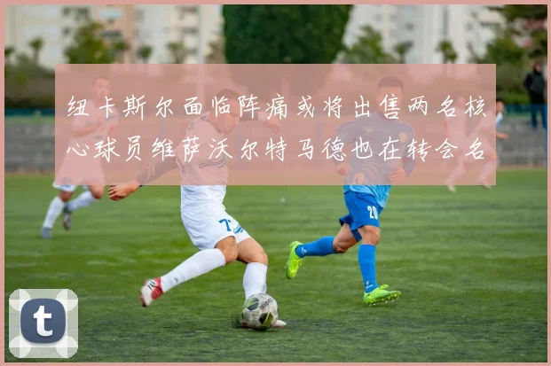 纽卡斯尔面临阵痛或将出售两名核心球员维萨沃尔特马德也在转会名单上
