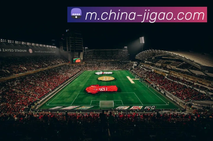 全球热力图